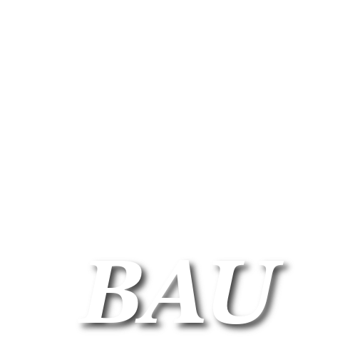 OLLI BAU